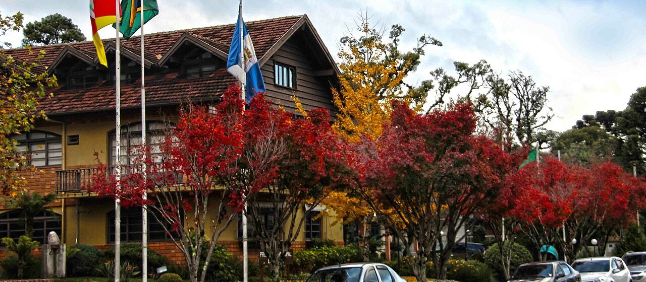A Gramado street with red trees