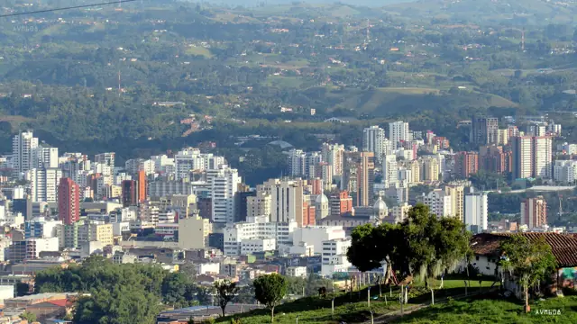 Vista de Pereira