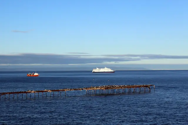 Vista de Punta Arenas